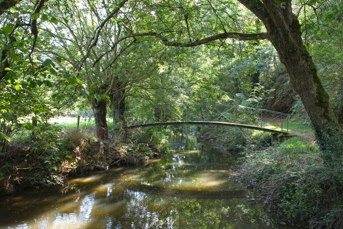 Grüner Spaziergang, der vom Gemeinderat der Jugendlichen von Chemillé-en-Anjou organisiert wird: Abfahrt im Jardin Camifolia und Spaziergang entlang des Hyrôme. Auf der Strecke, lokale Verbände in Ver