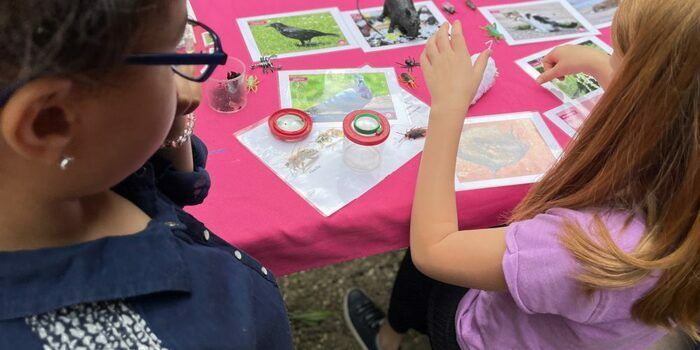 A travers trois ateliers, les participants découvrent la biodiversité du parc des Beaumonts.