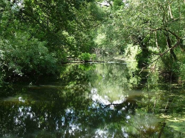 Une promenade jalonnée d'anecdotes étonnantes sur l'histoire de ce lieu et sur ses hôtes prestigieux