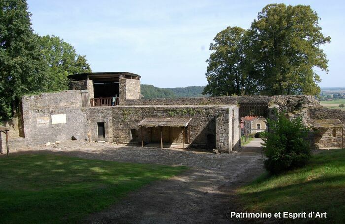 Plongez au coeur du Moyen Âge, en arpentant librement le site pour y découvrir la Porte de Lorraine ou encore les tours du château édifié au XIIème siècle....