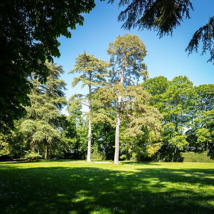 Anlässlich des Treffens in den Gärten 2024 besuchen Sie den Park um 10:30, 14:30 und 16:30 Uhr. Der Besuch entwickelt sich wie ein Spaziergang im Herzen der historischen «Blasen»...