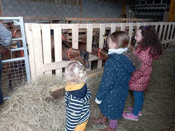 A la découverte des animaux de la ferme.