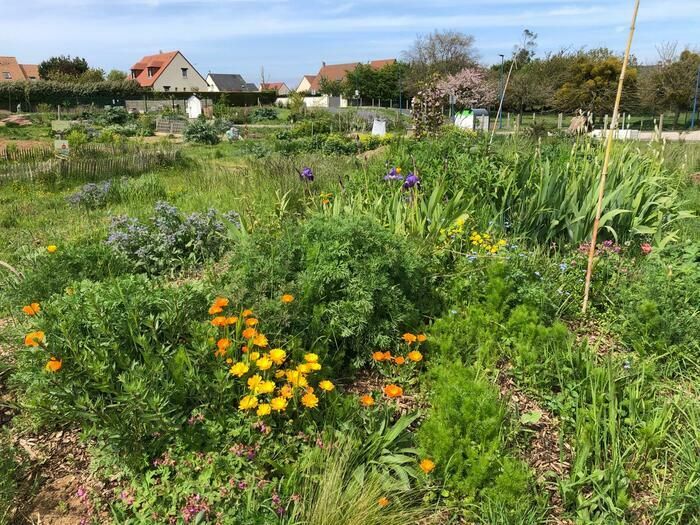 Lion Umgebung und Gartenbesitzer öffnen ihre Türen mit lokalen Handwerkern und Musikern, Shows, Workshops....