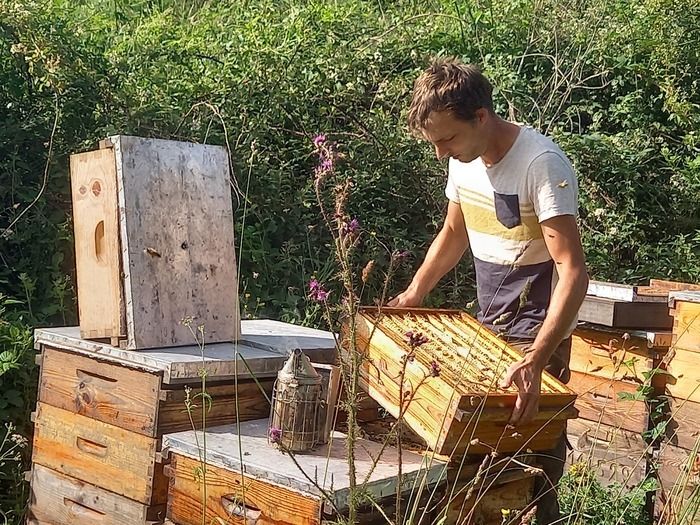 Venez découvrir notre métier d 'apiculteur et déguster nos miels