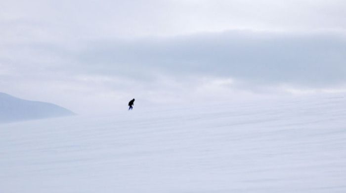 Les Désaxé.e.s vous invitent à la projection de "4801 Nuits"(France, 2023, 38', Les Films de la Pépinière), documentaire écrit et réalisé par Laurence Michel. Le film sera suivi par un débat.