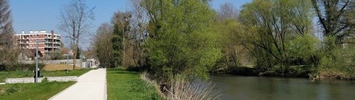 Balade et observation des oiseaux et de la faune urbaine