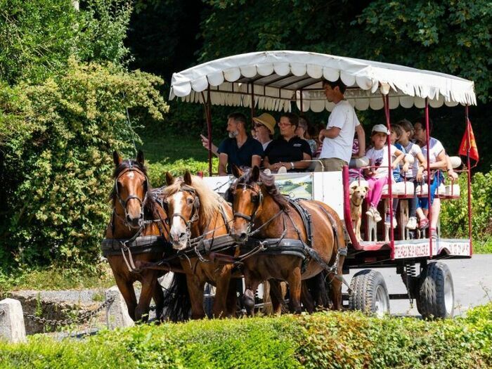 Profitez d'une balade attelée au rythme des chevaux pour découvrir la forêt de Cerisy. De nombreuses particularités vous seront dévoilées : la forêt de Cerisy et sa gestion en réserve naturelle, l...