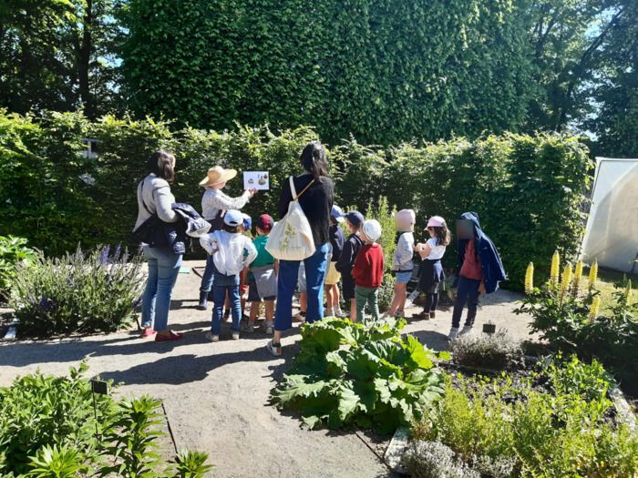 Anlässlich der Rendez-vous aux jardins öffnet Schloss Rambouillet am Freitag, 31\. Mai 2024 kostenlos die Türen seines pädagogischen Gartens für Ihre Klassen!