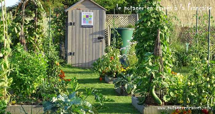 Das Leben in Gemüsefreiheit ist aktueller denn je und genau das erleben und teilen wir rund um den "Gemüsegarten in Quadraten à la Française", eine Methode der Gartenarbeit, die es...