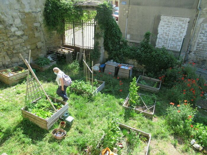 Gemeinsamer Garten für die Dauerkultur