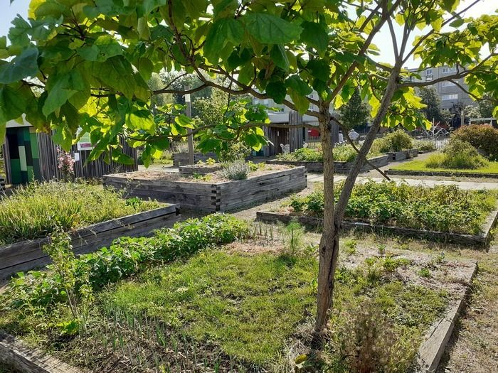 Entdecken und besuchen Sie den Garten der Shares. Der Garten befindet sich in der Mitte des Place Raoul Auzanneau. Sie können einen Ort besuchen, an dem die Einheimischen Gemüse, Obst, Obst und Gemüse