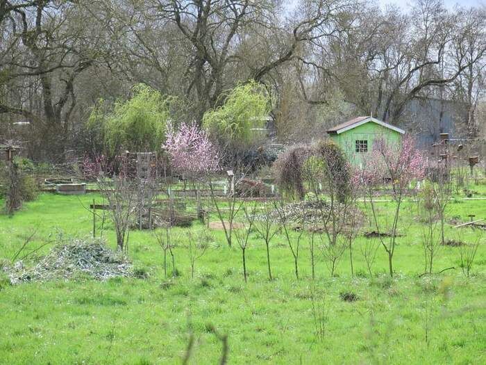 Im Rahmen der Rendez-vous aux jardins, deren Thema «Die fünf Sinne im Garten» ist, werden die Mitglieder des Pädagogischen Gartens von Fleurville Sie empfangen, um Wissen, Know-how-...