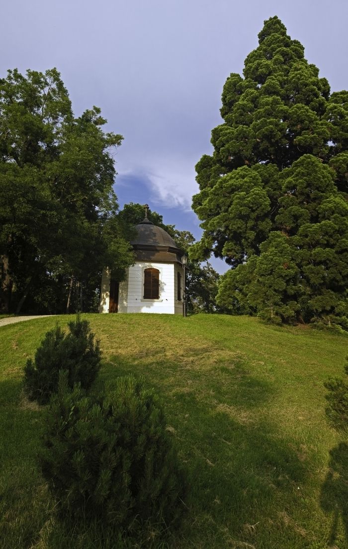 The only surviving Barock building in the park is about 200 meters from the castle. The hexagonal pavilion was built by Antal Grassalkovich I. in the 1760s. The 54 oil paintings placed on the wooden..