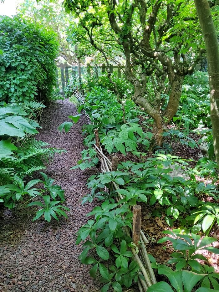 Da es nicht notwendig ist, einen Park zu besitzen, um sich einen Kokon aus verschiedenen Atmosphären zu schaffen, kommen Sie und entdecken Sie diesen charmanten Garten, mit einer großen Menge an Sorte