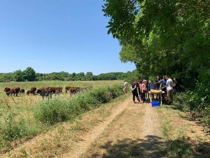 Entdecken Sie das Aume und den Sumpf von Saint-Fraigne während einer 3 km langen Gourmet-Wanderung, die von Animationen und Interventionen von Akteuren des Gebiets geprägt ist.