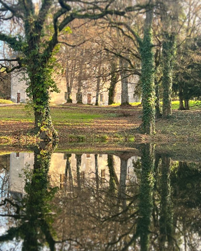 Ein ländlicher Spaziergang im Schlosspark, um das Projekt der Einrichtung des Arboretums zu entdecken und die Herausforderungen der Natur zwischen Enthusiasten auszutauschen.