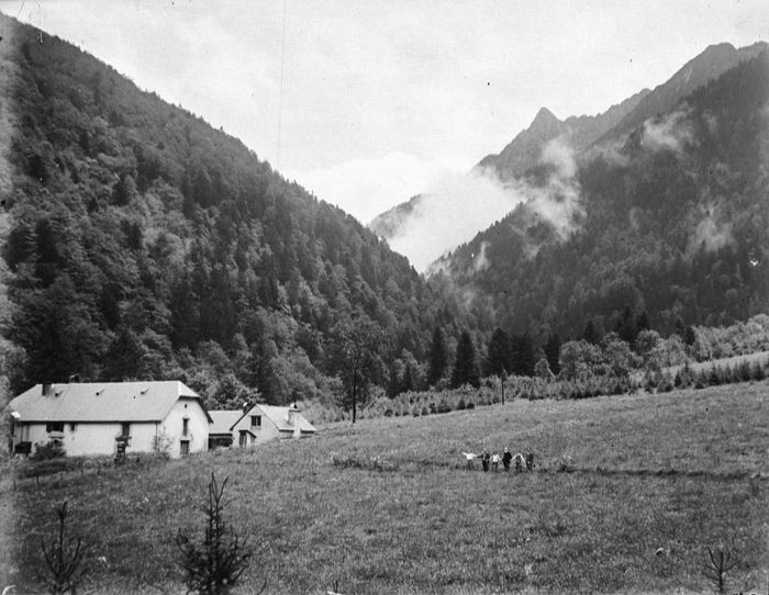 Chaussez vos baskets et venez vivre un moment de découverte pour prendre un grand bol d’air avec nous, lors de cette balade commentée, au milieu des arbres, au-dessous de Luchon !