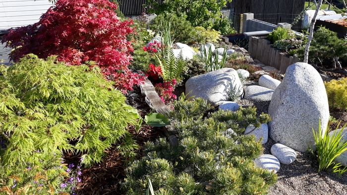 Nutzen Sie dieses Wochenende, um in diesen japanischen Garten einzutauchen. Geschnittene Bäume, Bonsai-Bäume und Koi-Karpfen sind in diesem langen Garten zu entdecken.