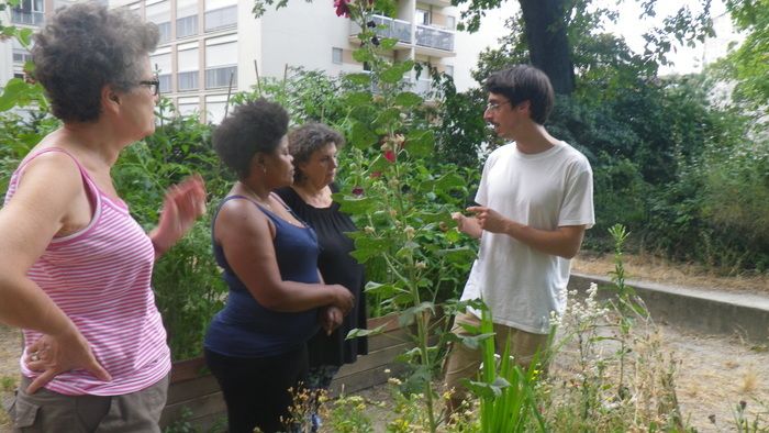 MOTE propose la balade « incroyables communes ». Alliant reconnaissance et découvertes sensibles, cette balade à pour but d’eveiller à la diversité botanique