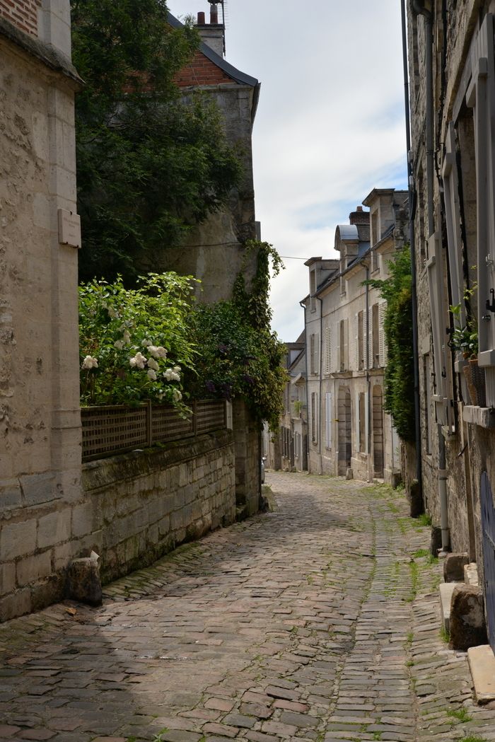 Venez admirer le jardin faisant face à la flèche de la cathédrale Notre-Dame de Senlis. La "Sauvegarde de Senlis" vous propose de le découvrir les samedi 21 et dimanche 22 septembre à l'occasion des …