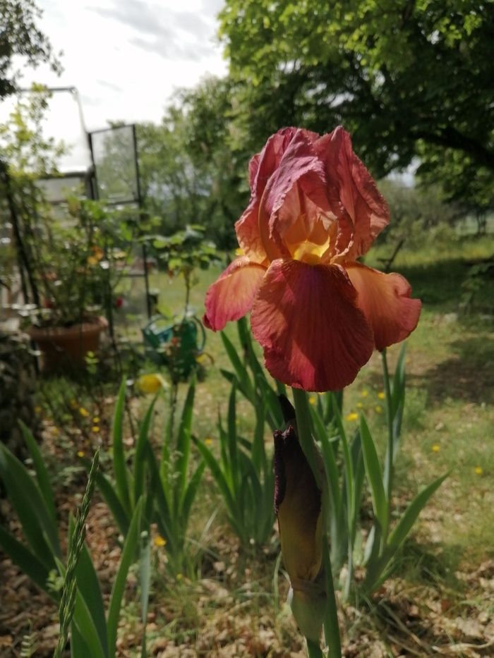 Die fünf Sinne im Garten