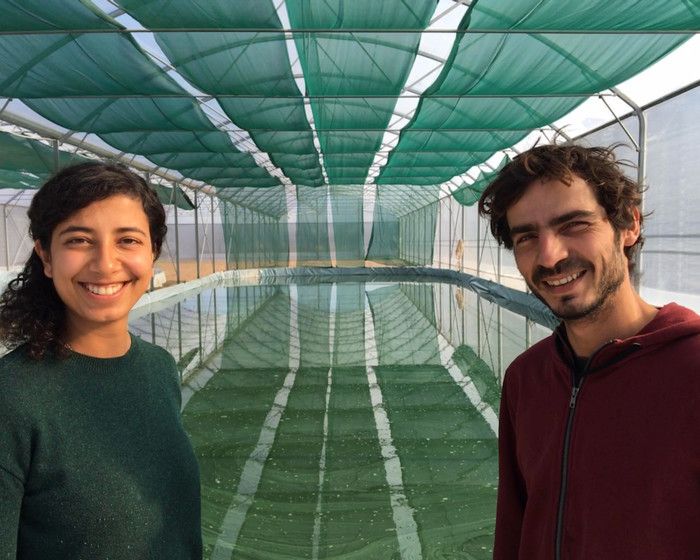 Animation de sorties grand public par Écoacteurs en Médoc chez des producteurs éco-responsables du nouveau Parc des Jalles de Bordeaux Métropole.