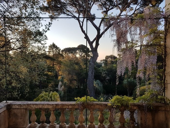 Das Plantier de Costebelle ist ein vertrauliches Touristenziel, das führende öffentliche Sehenswürdigkeiten wie die Villa Noailles Event Vektor der Stadt ergänzt...