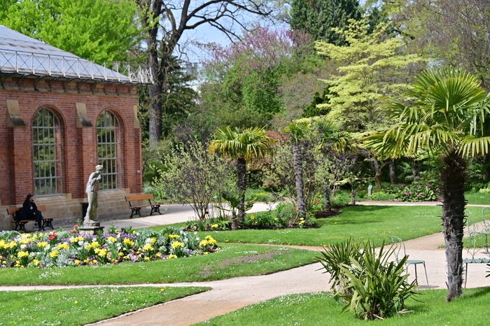 Der Botanische Garten von Metz, ein Ort reich an menschlicher und pflanzlicher Geschichte...