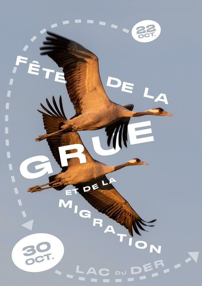 Plus de 300h d'animations sont proposées à l'occasion de 15ème édition de la Fête de la Grue et de la Migration qui se déroulera du 22 au 30 octobre.