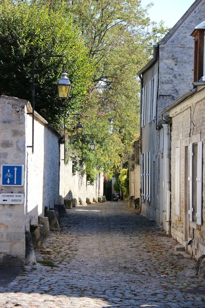 Hôtel particulier du XVIIIe siècle avec vue sur le jardin. Les 25 et 15 faisaient partie d’un vaste domaine s’étalant sur les rues Bellon, St-Yves et des Bordeaux. La "Sauvegarde de Senlis" vous prop…