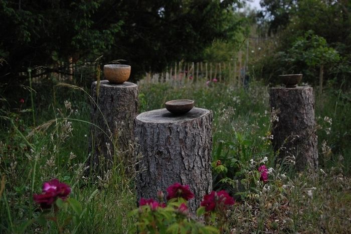 In dieser kommentierten Tour durch den Rosengarten von Gérenton führt Sylvie, die Designerin und Gärtnerin des Rosengartens, in den Garten und enthüllt Ihnen alle Geheimnisse des Rosenanbaus im Kontex