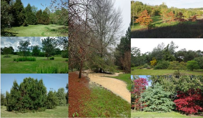 Das Arboretum de la Bergerette trägt den Namen «Collection Nationale de Quercus», also Eichen aus aller Welt. Die Sammlung enthält die erste europäische Einführung von Quercus balo...