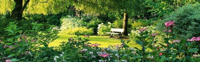 Nur einen Steinwurf von Toulouse entfernt begrüßen Sie die Jardins des Martels in einer grünen Umgebung mit verschiedenen Inspirationen: von England mit seinen zarten Rosen bis zu den üppigen Lotusblu