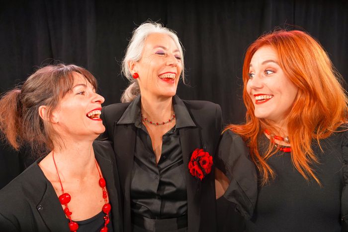 Ne manquez pas de (re) découvrir cette pièce interprétée par trois comédiennes (Carole Petit, Laurie Bouculet et Elodie Menadier) de la troupe des 3T dans une mise en scène signée Dominique Deschamps.