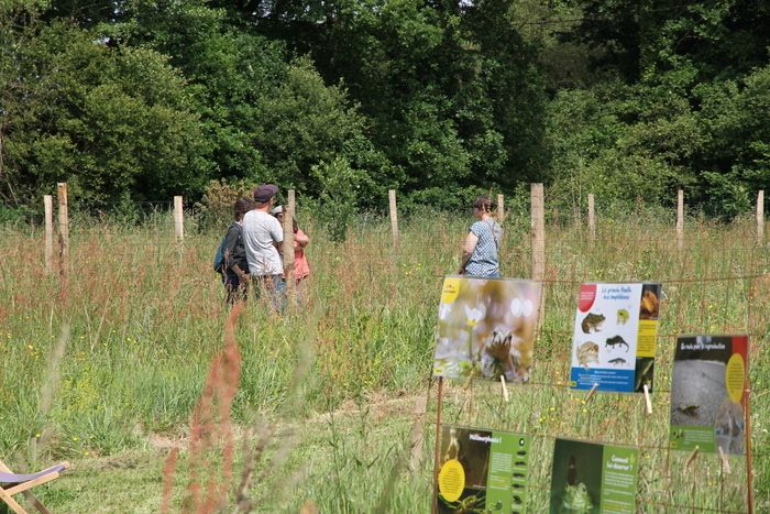 Kommen Sie und entdecken Sie die Gärtnerei der Biodiversität von Fertile Marais. Sie ist online mit Obsthecken organisiert und produziert Stecklinge für essbare Hecken, die ab November in...