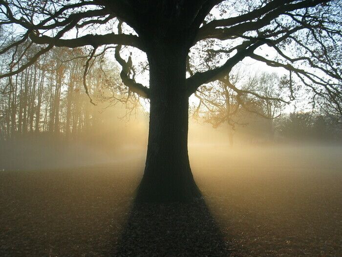 "Die kleine Rolle gehört zu diesen gewählten Orten. Hier finden wir den Atem der Natur, das Flüstern der Landschaft und den Geist des Ortes, die Erinnerung an die Vergangenheit und die Vorstellungskra