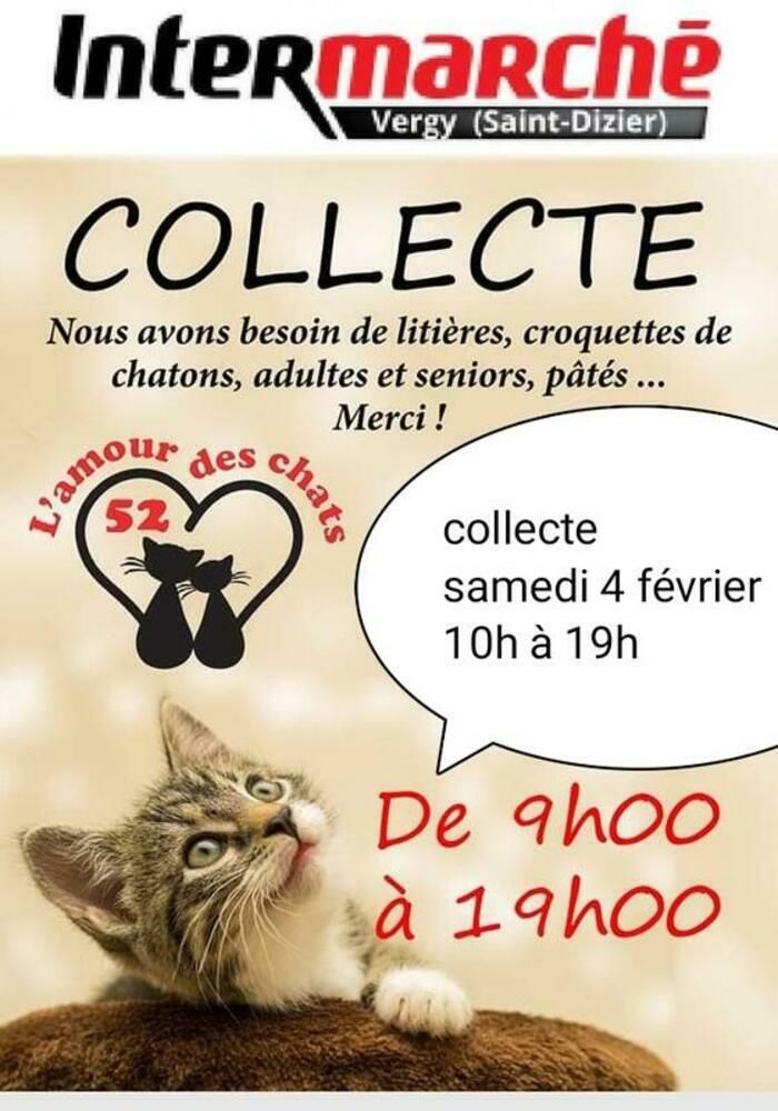 Collecte de croquettes, patées, litières pour chats chatons, ainsi que des produits désinfectants et lingettes désinfectantes, sacs poubelles de 30l, essuie tout...