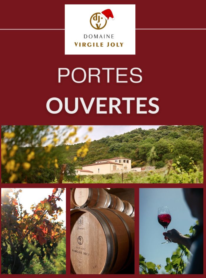 Dégustation et vente de vin biologique, visites guidées de la cave et dégustation de produits du terroir