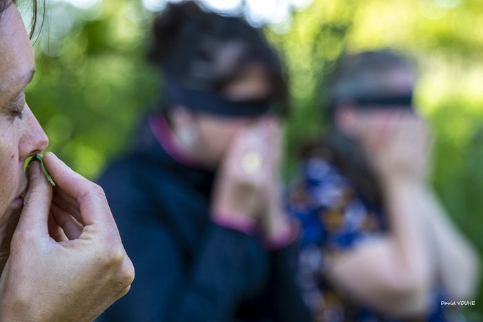 Kommen Sie und schmecken, riechen, fühlen, berühren... Lassen Sie sich durch einen sensorischen Parcours und eine Einladung zur Sophrologie im Garten führen, um einen Moment der Ruhe und der Begegnung