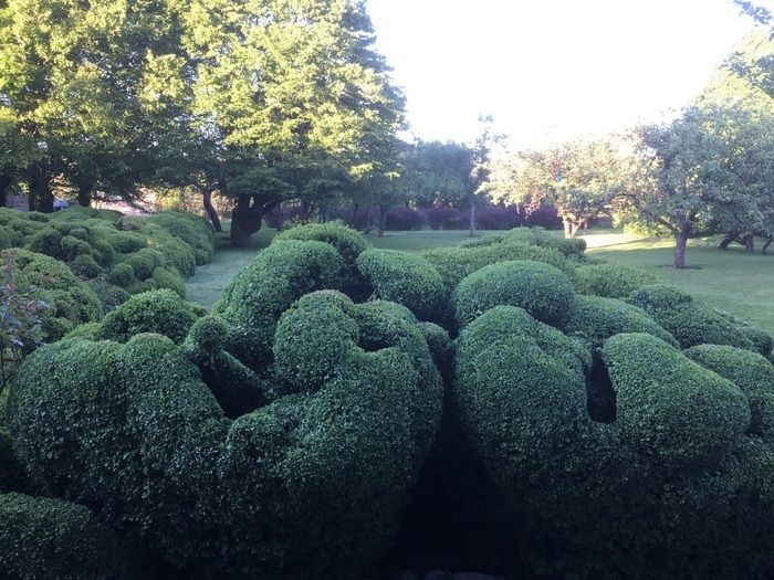 C'est un jardin de curé, à l'ombre du clocher et de charmilles, dans les dédalles de buis, 2 fois centenaires, dans la senteur des roses et le charme des pivoines et autres vivaces.