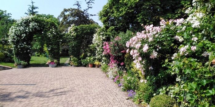 Garten mit vielen Pflanzen und Sträuchern .