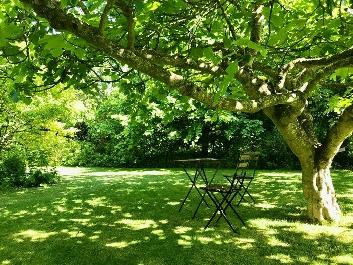 Spazieren Sie frei durch diesen Garten mit essbaren Früchten, die an unser Klima angepasst sind. Das Thema der Musik wird mit dem Gesang von Vögeln, Springbrunnen, Fröschen und Wind in Obstbäumen ang…