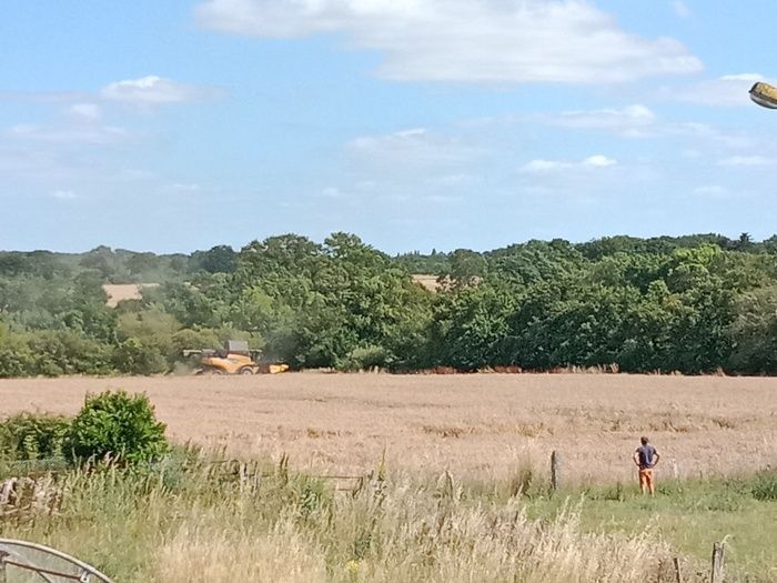 Dans le cadre de la semaine des métiers du tourisme, la Distillerie 168, distillerie paysanne, ouvre aux visiteurs la première version de sa "Ballade comestible", Lauréate "Slow Tourisme" ADEME 2024.