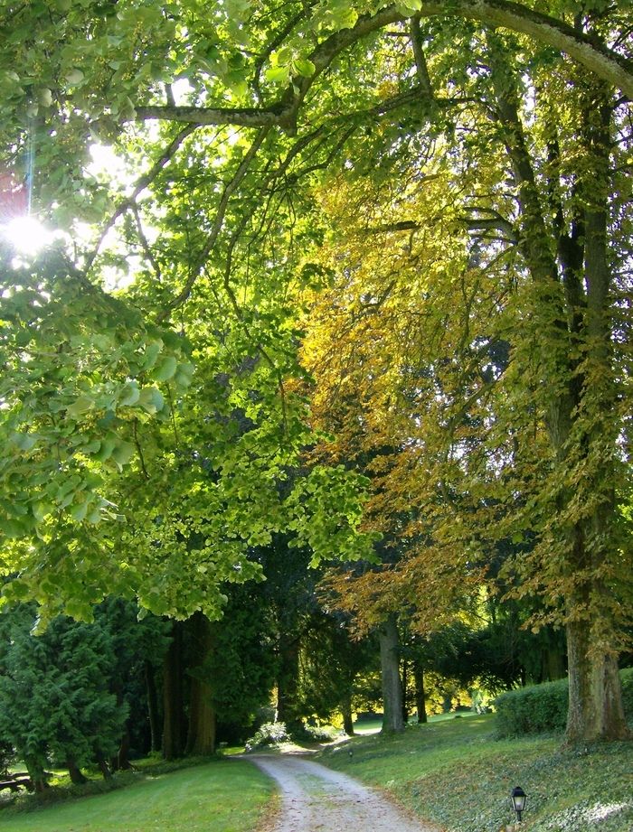 Promenade au cœur d'un Parc romantique de 6,3 ha