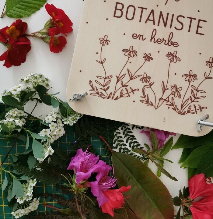 Im Garten Bossuet, in Begleitung des Vermittlers, ernten die Blüten und Blätter. Sortiere, presse und klebe all diese Pflanzen, um dein Herbarium zusammenzustellen und gehe mit!