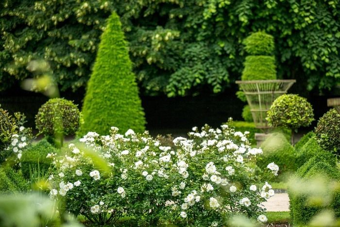 Für diese 21\. Ausgabe von Gartentreffen wollte das Kulturministerium die fünf Sinne im Garten hervorheben. Ein Ort, an dem alle Emotionen übertragen werden können, z...