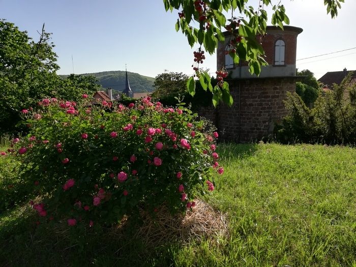 Animationen, kleine Workshops für sensorische Entdeckungen im Garten.