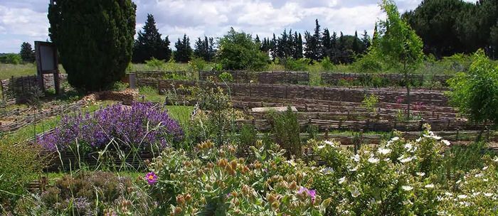 Entdecken Sie einen antiken Garten und die Anbautechniken der Zeit, oft in der Nähe der heutigen natürlichen Anbaupraktiken. Der gallo-römische Garten von Amphoralis präsentiert die wichtigsten...