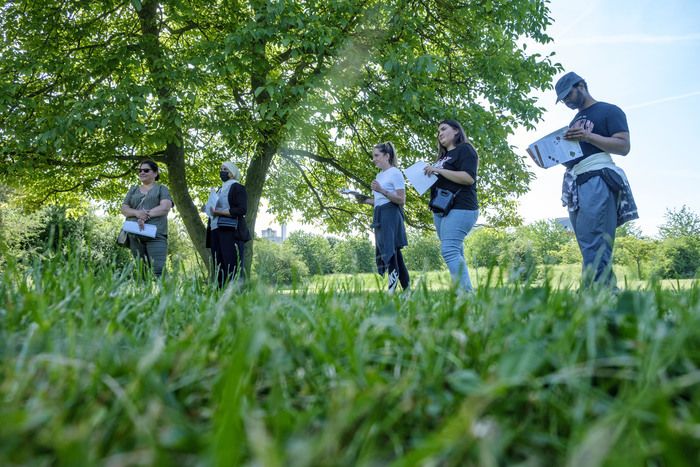 BALADE / Balades de reconnaissance botanique au grès des chemins. Une attention particulière sera accordée au « SIMPLES » ces plantes si courantes que nous connaissons si peu.