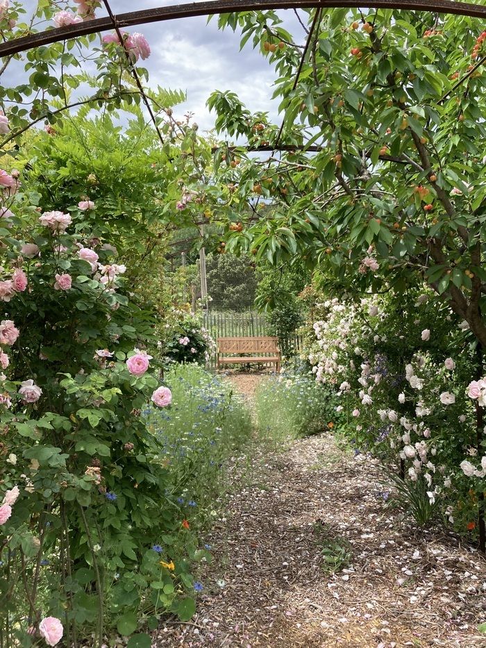 Außergewöhnlicher Gemüsegarten, Konservatorium für seltenes Gemüse, bunter Mikro-Blumenbauernhof, Buche der Biodiversität, der gastronomische Garten öffnet seine Türen am Sonntag, den 2\. Juni 2024 im